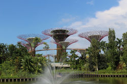 Singapour - Garden by the bay