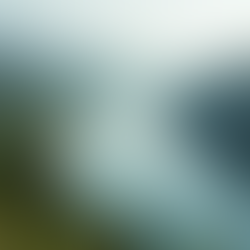 The Alarming Impact of Contamination on the Columbia River and Its Deteriorating Future