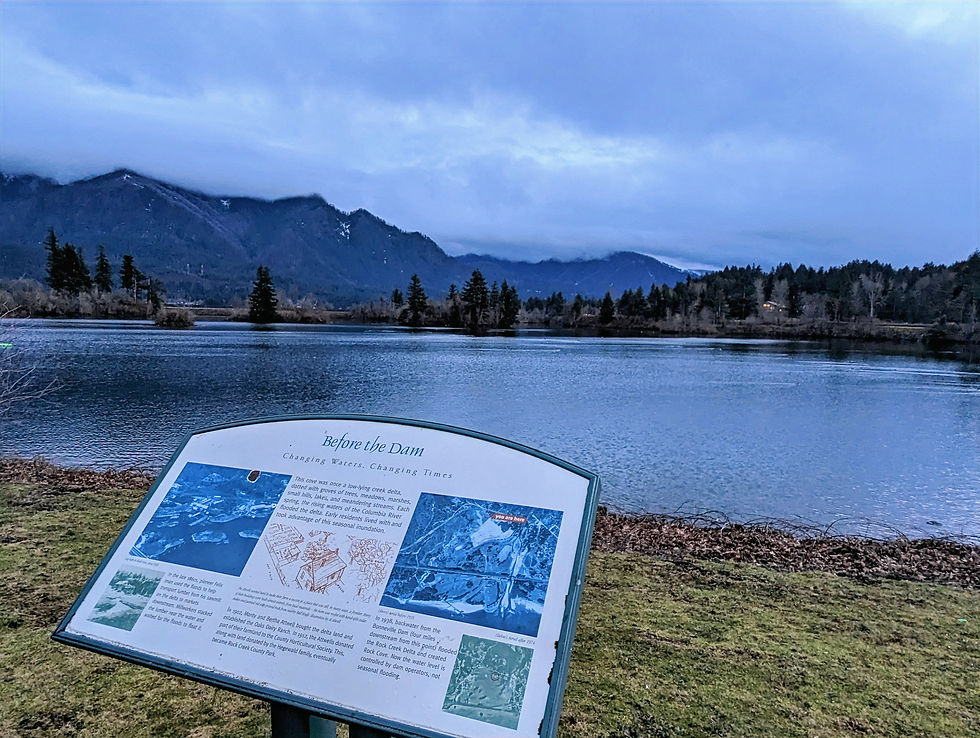 Vista panorámica del Columbia Gorge con el río Columbia y montañas al fondo