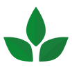 SIGNOS (2).png