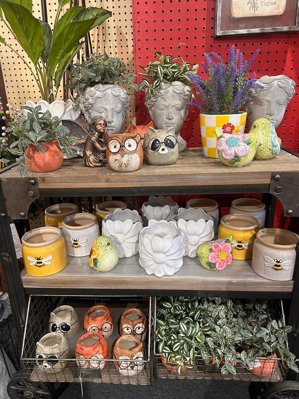 634127418_1233337308774581_3778436590755924606_n