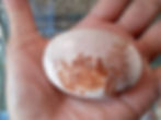Close-up of a Blue Lace Agate tumbled stone
