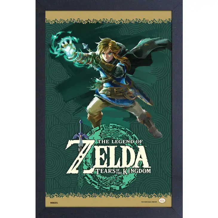 Legend of Zelda- TOTK- Link Ultra Hand