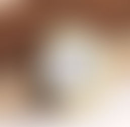 O que é um umidor e qual a sua importância?