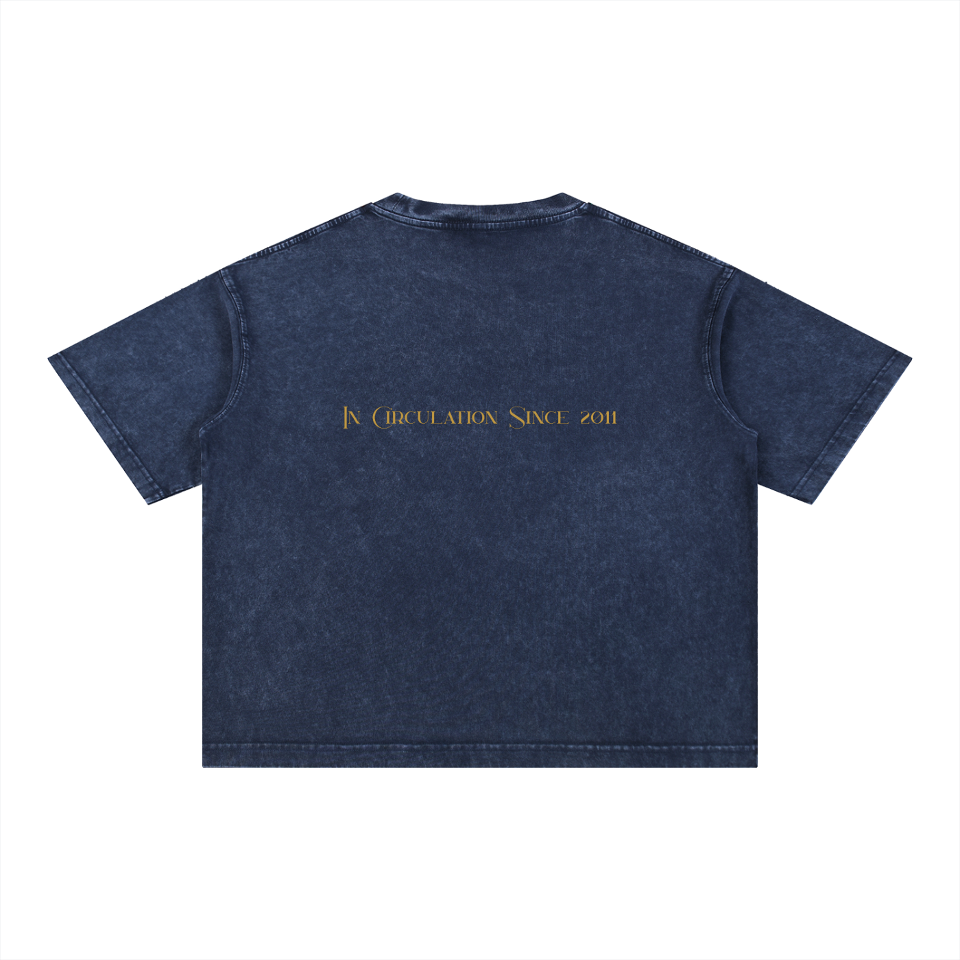 The Coin Girl Loose T-Shirt
