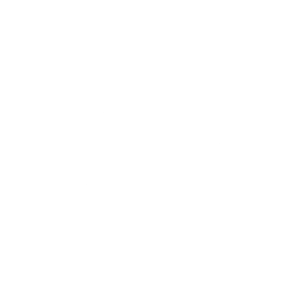 luzz.png