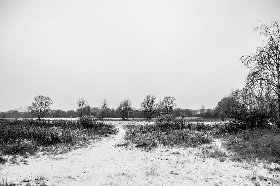 Winter Wonderland