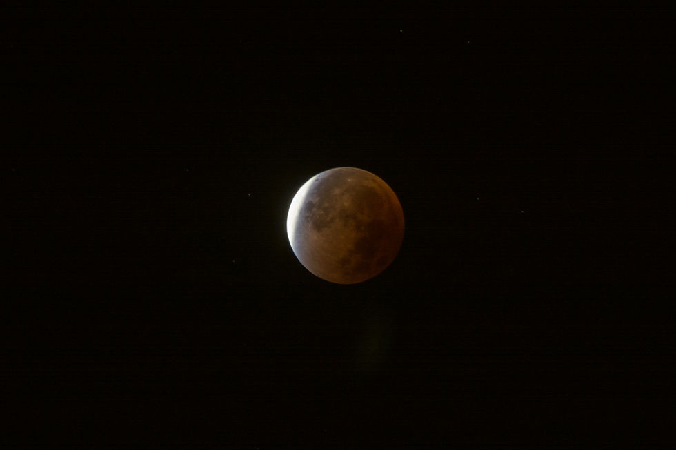 Bloedmaan