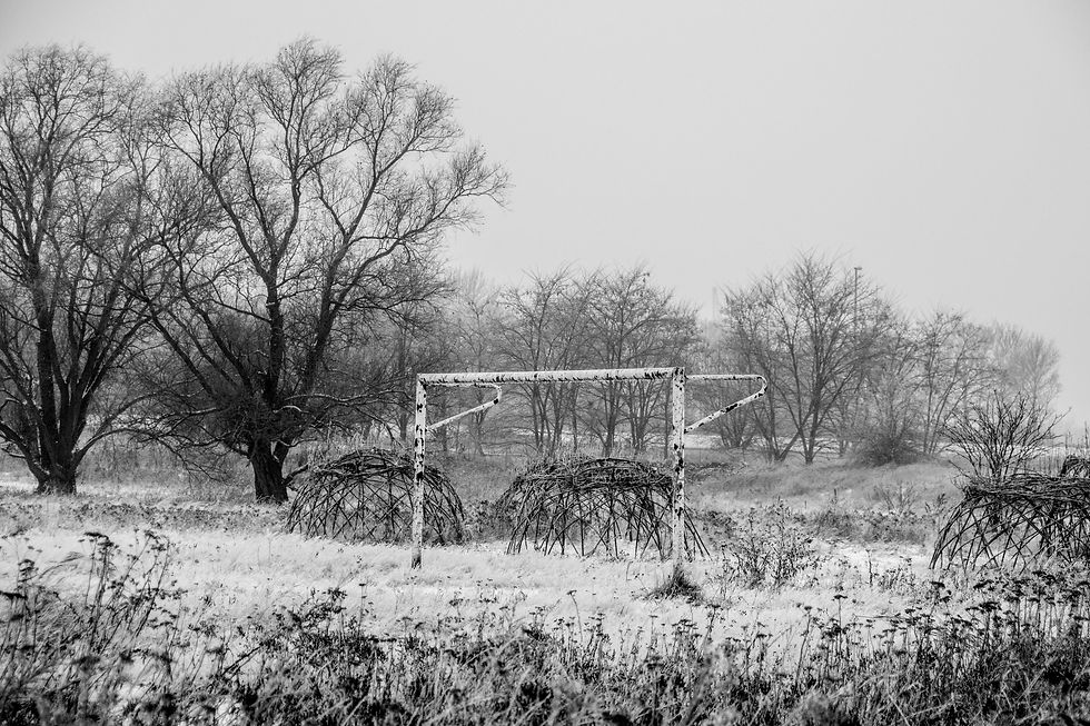 Winter Wonderland