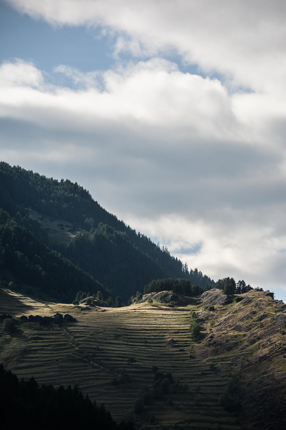 Zwitserland