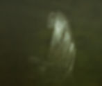 Cloak of Stars