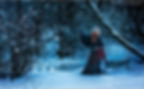 Peter Paradise Photography
