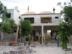 Alamos 6