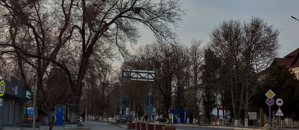 Весна запоздала, Кондратова Татьяна, 9Акл. ТМТЛ им. С.Демиреля с.Конгаз.jpg