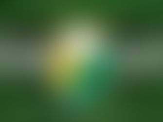 Fim do mistério: Presidente explica por que time não entrou em campo na Terceirona