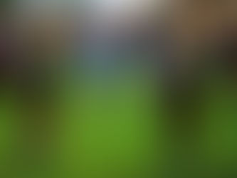 Já treinando para Copa FGF, Bagé oficializa os primeiros seis reforços 
