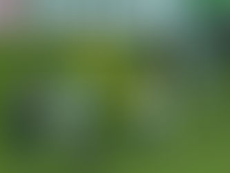 Faixa azul: Capitão do São José explica "ippon" no Jaconi: "Em nenhum momento quis agredir ele"