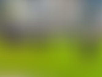 "A responsabilidade é nossa, da direção", afirma diretor de futebol do Gramadense após queda