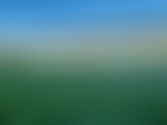 "Não há qualquer negociação em andamento", afirma São José sobre virar SAF