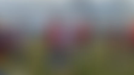 Esportivo vai até Caxias para o Clássico da Polenta