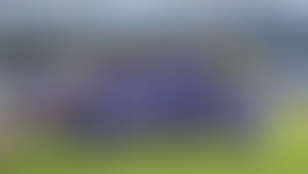 Esportivo busca resultado positivo quinta-feira para não se afastar dos líderes