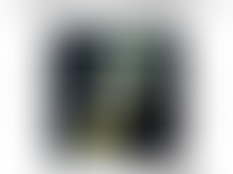 六本木ヒルズ 蔦屋書店【Biophilic Showcase -JEWELS-】にて標本の展示販売を販売中です。