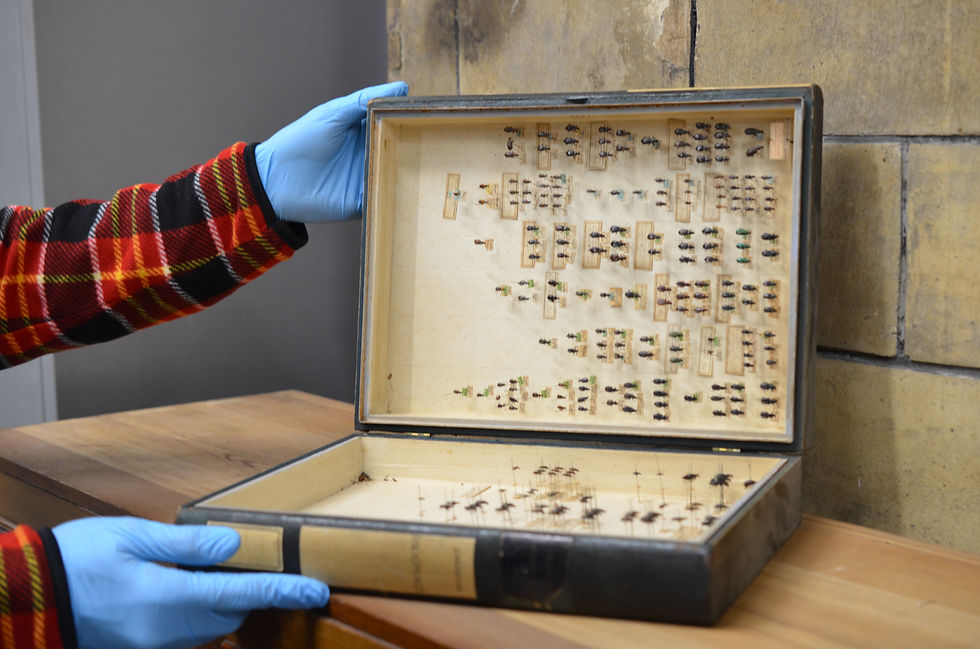 本誌未使用カット。本の形状の標本箱に入った1800年代のヒストリカルコレクション。見栄えは雰囲気があって良いのですが、取り扱いに注意が必要なのが難点です。