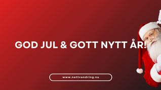 God jul och gott nytt år!