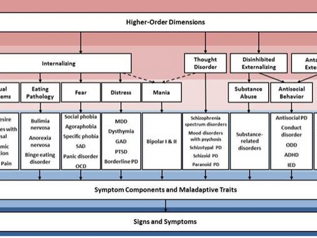 How is SPECT beneficial to Dimensional approaches in the Assessment and Treatment of Psychopathologies?