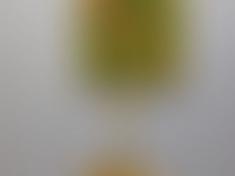 Brilha! Cristo está a Nascer em Ti!