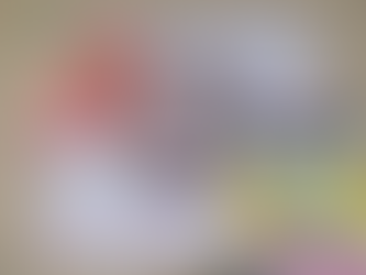 Preparação para O Portal 11.11