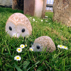 OR_06, OR_07 2-1.jpg