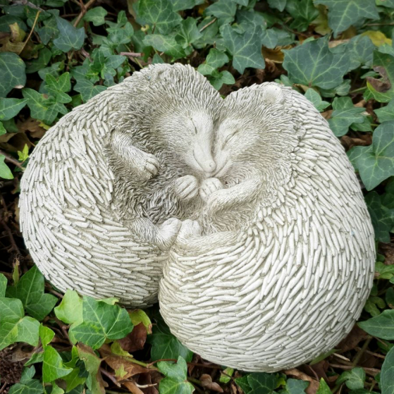 Cuddling Hedgehogs  (AN42)