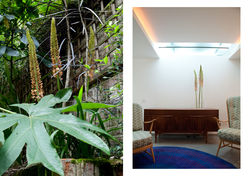 London Private House