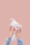 Hands Holding a Dove