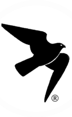 flying sparrow