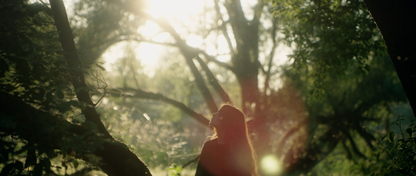 Part of the kitchen / Echokosmos / dir. Anna Prętka, Kuba Lorenc