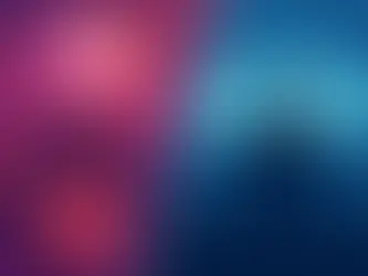 Verschil tussen disco en house uitgelegd