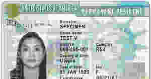 green card attorney immigration lawyer massachusetts