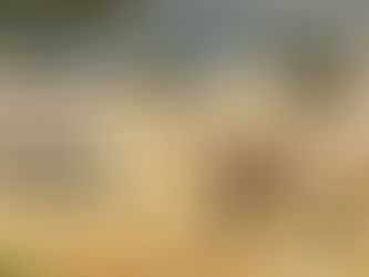 Best Tanzania Wilderness Adventure