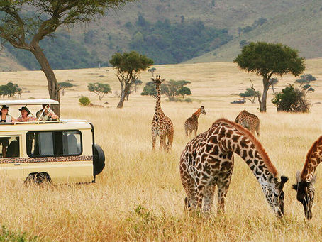 Best Tanzania Wilderness Adventure