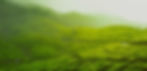 voyage-sri-lanka-plantations-the.jpg