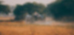 voyager-au-myanmar-birmanie-paysans.jpg