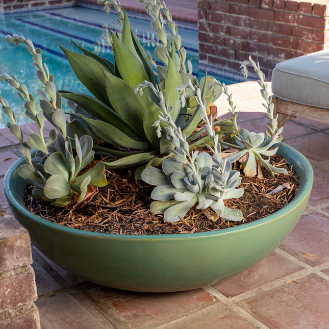 No. 156‑12 Planter in Antique Green featuring a handcrafted ceramic form with rich green glaze and smooth rounded silhouette.