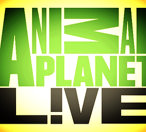 science websites, science for kids, cool science demos, awesome science, websites for kids, kid entrepreneurs, kid scientists