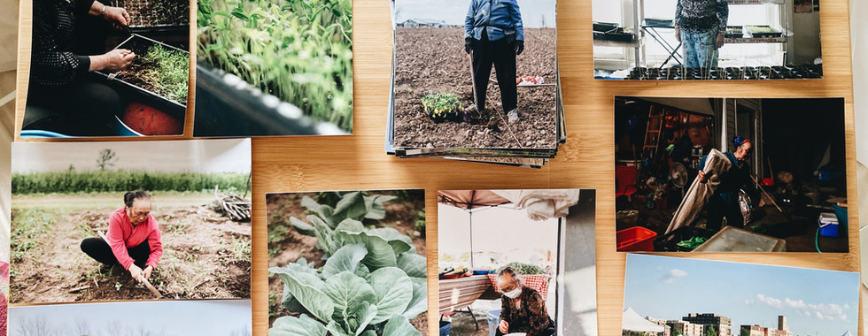 February 14, 2021. I ordered a bunch of prints. I felt it was important to physically organize them.