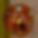 Untitled_Artwork.PNG