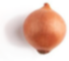 thumbnail_onion1 (2).png