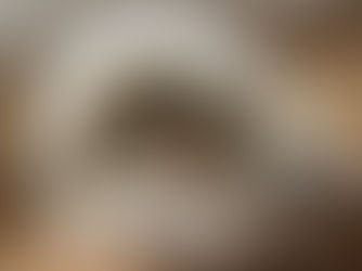 A baby tortoise emerging from its cracked egg, surrounded by sand. Its shell is white and gray, conveying a sense of new life.