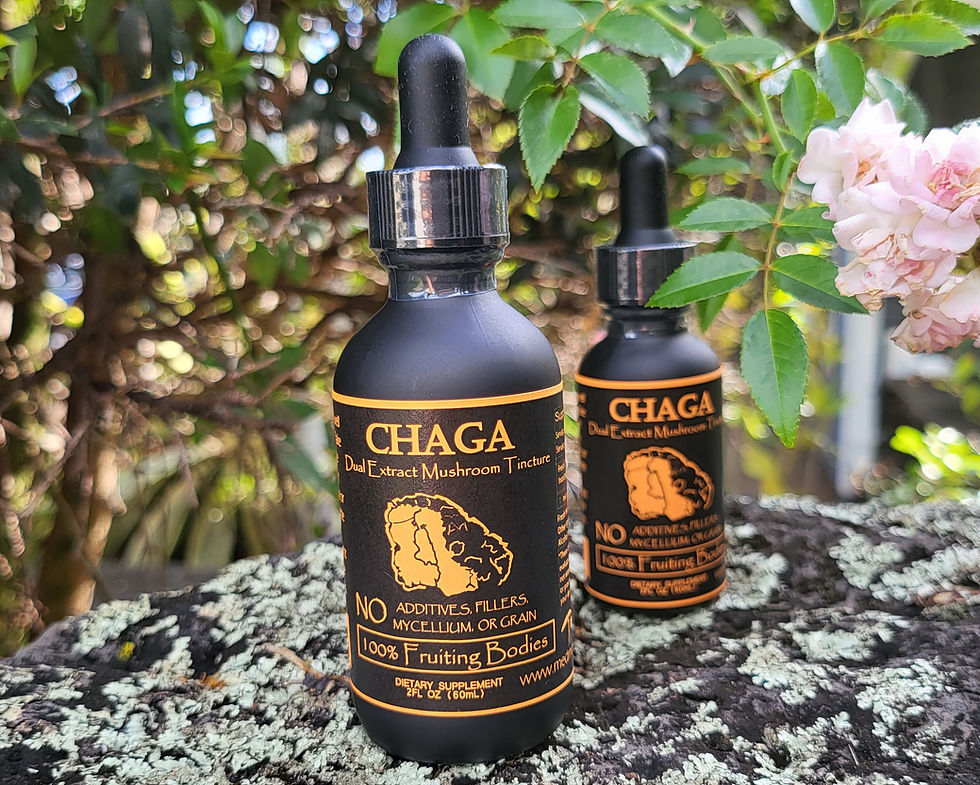 Thumbnail: Chaga Dual Extraction Tincture